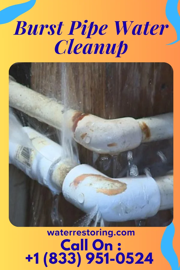 Burst Pipe Water Cleanup in Wheeling, WV
