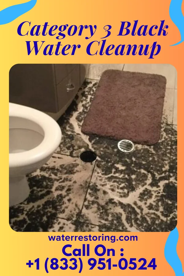 Category 3 Black Water Cleanup in Wheeling, WV