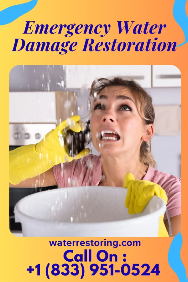 Emergency Water Damage Restoration in Wheeling, WV