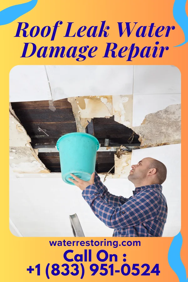 Roof Leak Water Damage Repair in Wheeling, WV