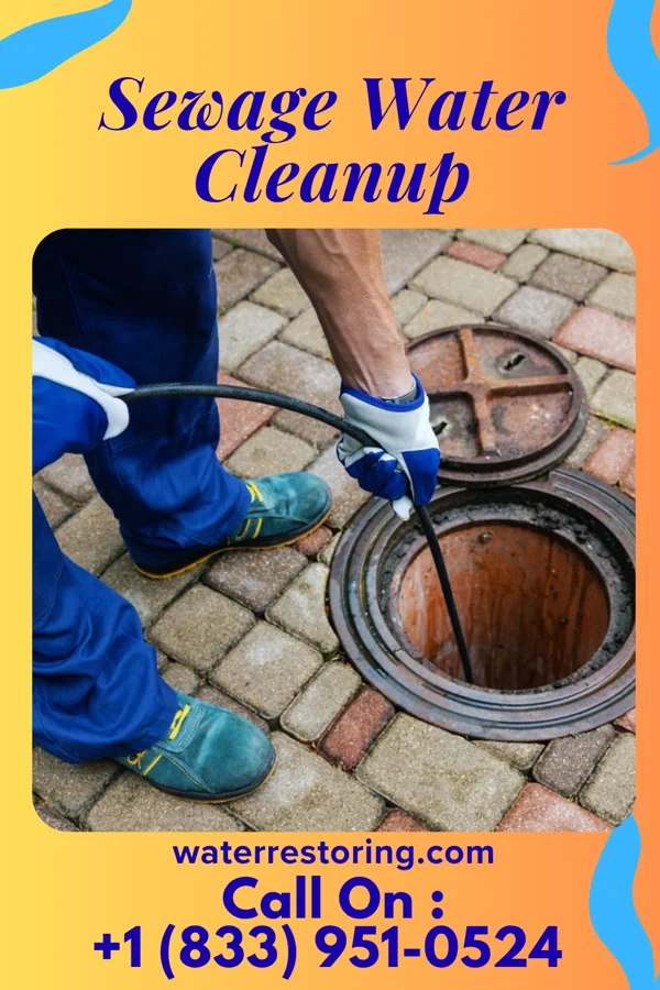 Sewage Water Cleanup in Wheeling, WV