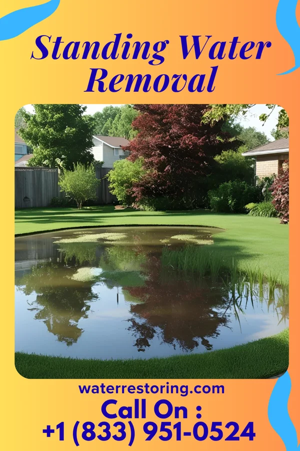 Standing Water Removal in Wheeling, WV